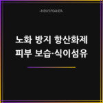 노화 방지 항산화제