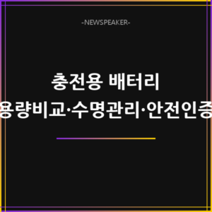 충전용 배터리