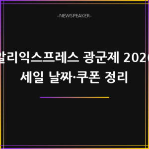 알리익스프레스 광군제