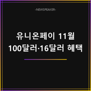 알리 유니온페이 할인 2026 11월