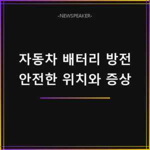 자동차 배터리 방전 대처