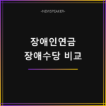 장애인연금 장애수당 차이