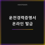운전경력증명서 온라인 발급