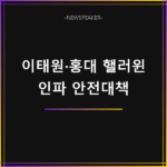 핼러윈 이태원 홍대 인파 안전대책