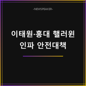 핼러윈 이태원 홍대 인파 안전대책