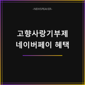 고향사랑기부제 네이버페이