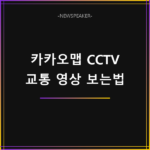 카카오맵 CCTV