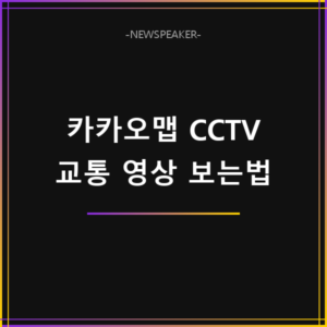 카카오맵 CCTV