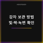 감자 보관 방법