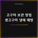 고구마 보관 방법