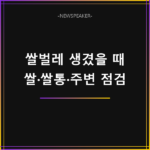 쌀벌레 생겼을 때 대처