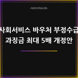 사회서비스 바우처 부정수급