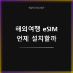 해외여행 eSIM 설치 시점