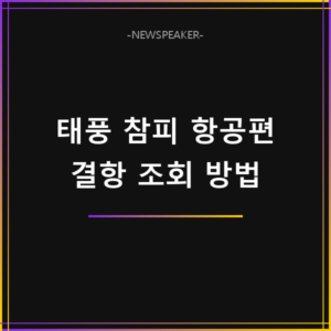 태풍 참피 항공편 결항 조회