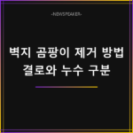 벽지 곰팡이 제거 방법